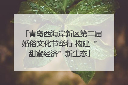 青岛西海岸新区第二届婚俗文化节举行 构建“甜蜜经济”新生态